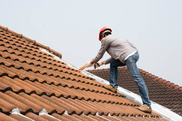 Best Roof Coating Services  in Woodville, AL